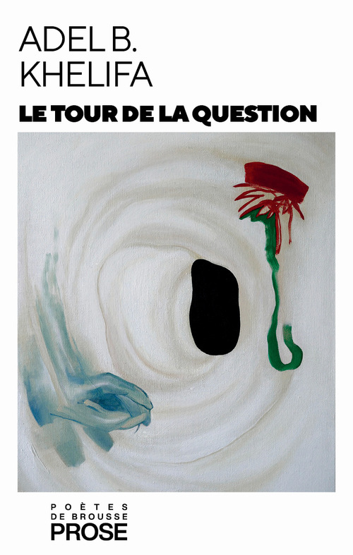 ebook cover of Le tour de la question, by Adel B. Khelifa