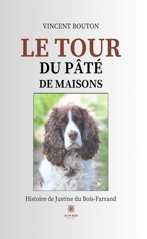 Couverture ebook de Le tour du pâté de maisons, de Vincent Bouton