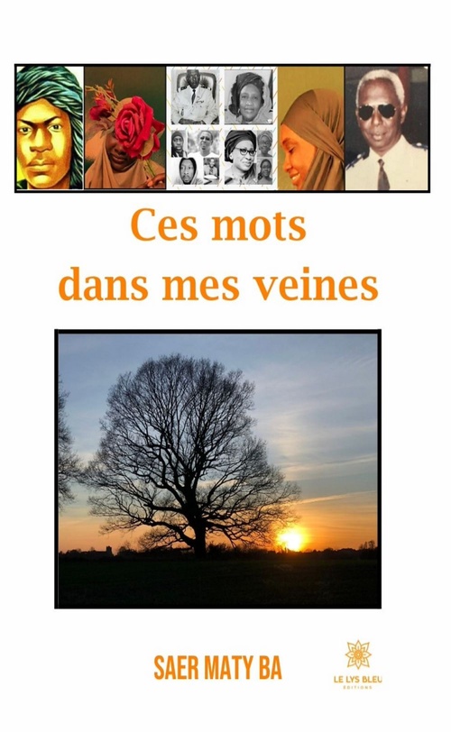 ebook cover of Ces mots dans mes veines, by Saer Maty Ba