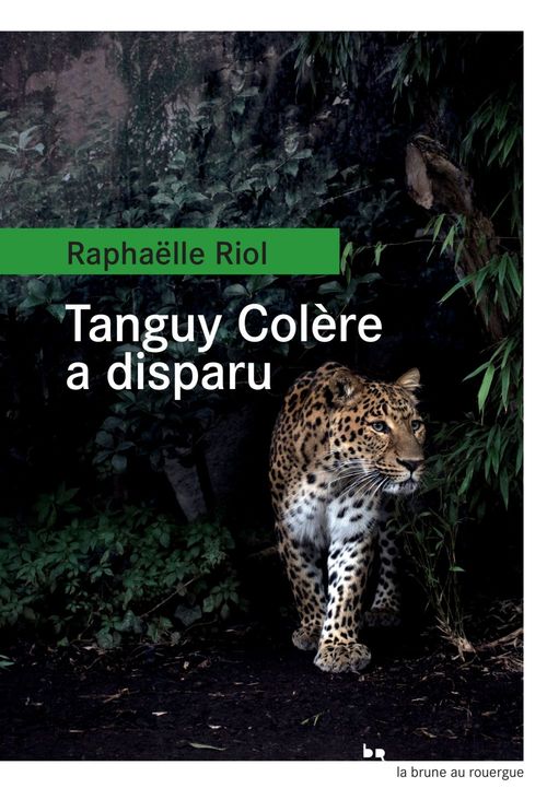 ebook cover of Tanguy Colère a disparu, by Raphaëlle Riol