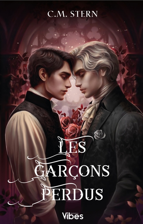 Couverture ebook de Les garçons perdus T2, de C.M. Stern