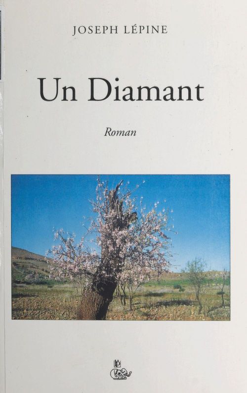 Couverture ebook de Un diamant, de Joseph Lépine
