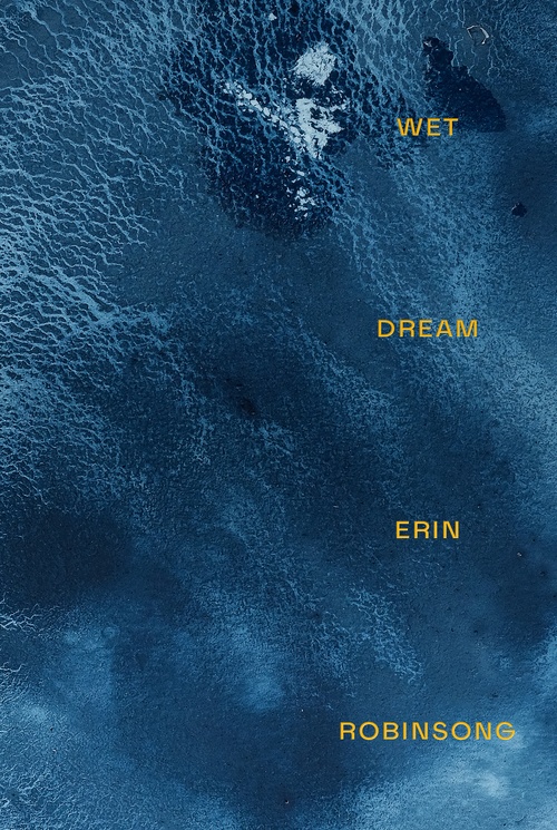 Couverture ebook de Wet Dream, de Erin Robinsong