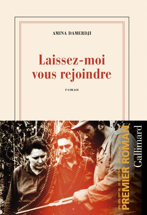 ebook cover of Laissez-moi vous rejoindre, by Damerdji Amina