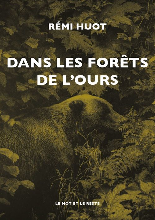 Couverture ebook de Dans les forêts de l'ours, de Rémi Huot