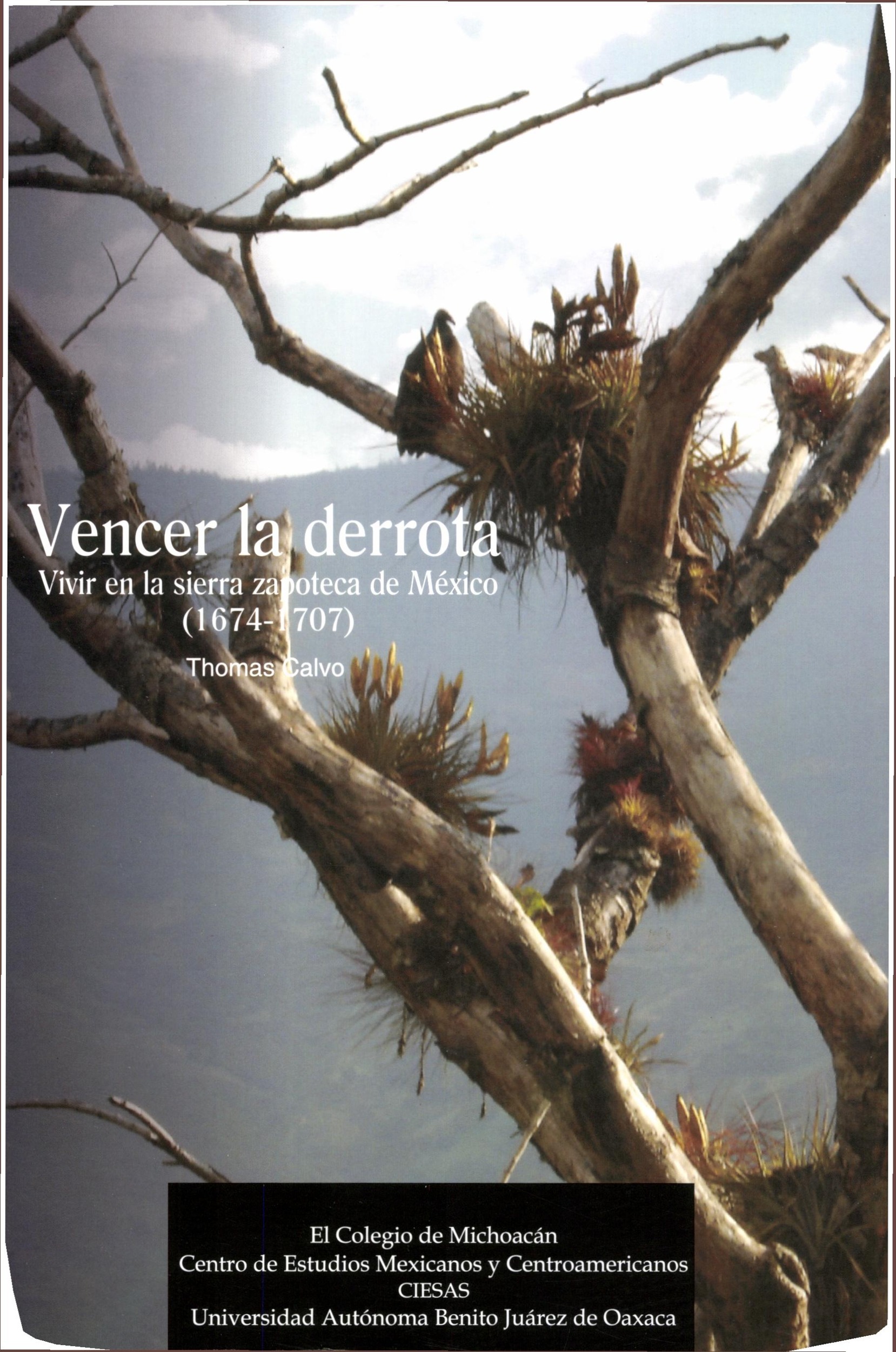 Couverture ebook de Vencer la derrota, de Thomas Calvo