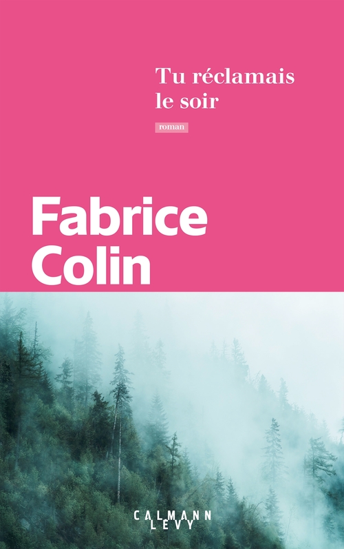 ebook cover of Tu réclamais le soir, by Fabrice Colin