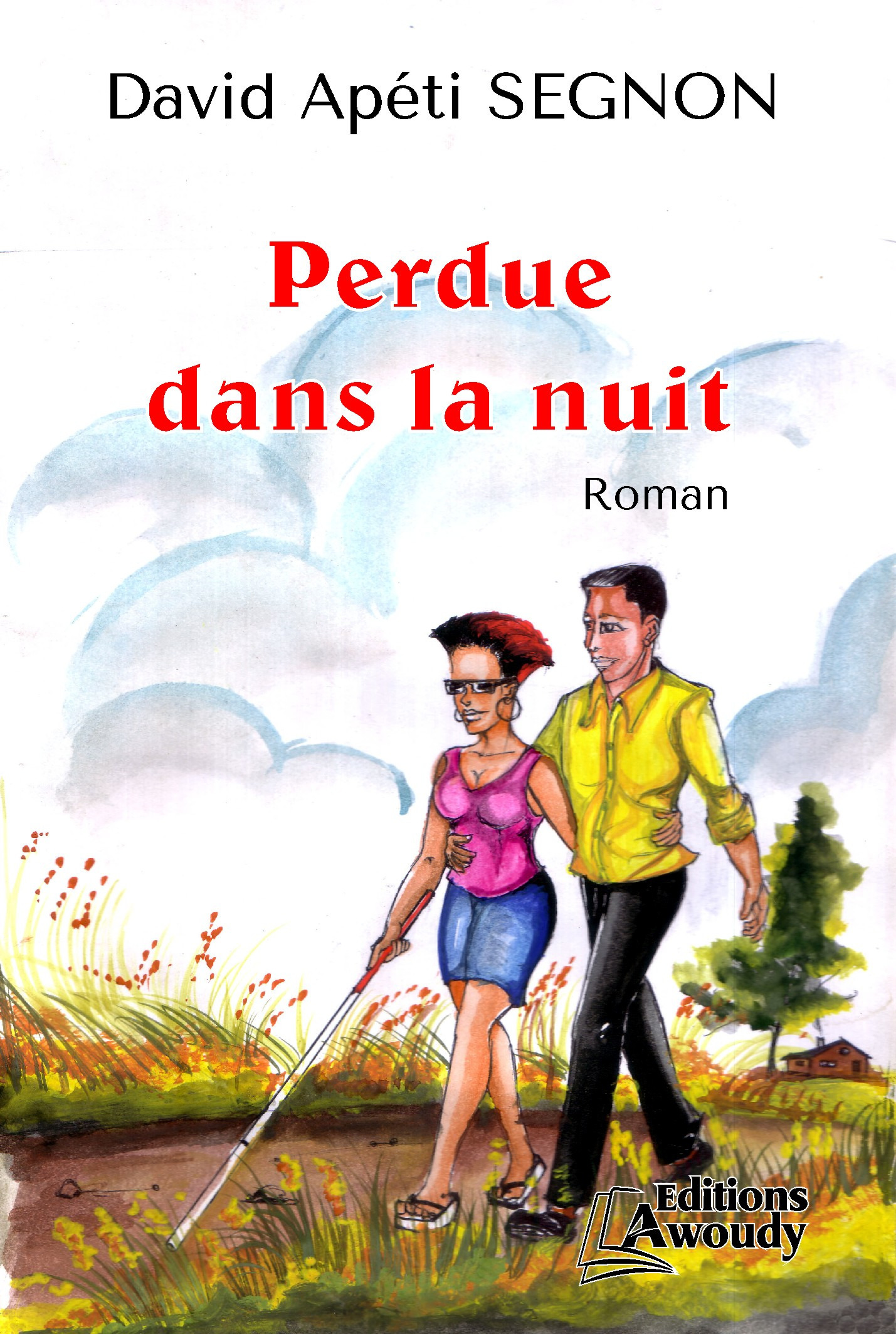 ebook cover of Perdue dans la nuit, by David Apeti Segnon