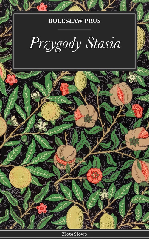 Couverture ebook de Przygody Stasia, de Boleslaw Prus