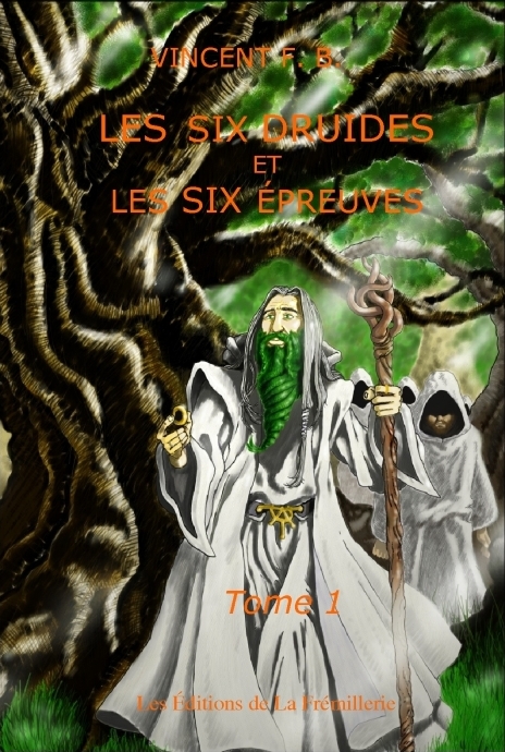 ebook cover of Les six druides et les six épreuves t.1, by Vincent F. b.