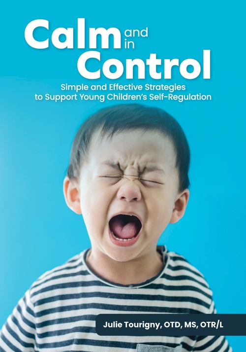 ebook cover of Calm and in Control, by Julie Tourigny