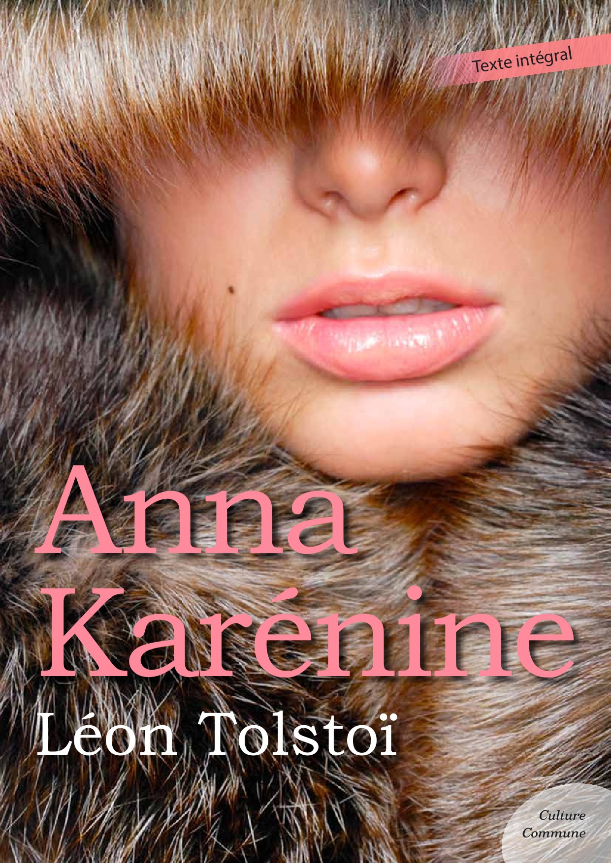 Couverture ebook de Anna Karénine, de Léon Tolstoï