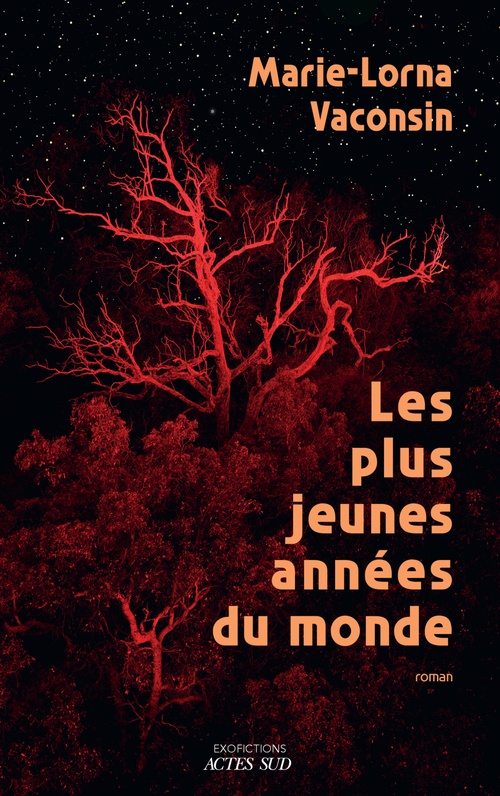 ebook cover of Les Plus Jeunes Années du monde, by Marie-Lorna Vaconsin