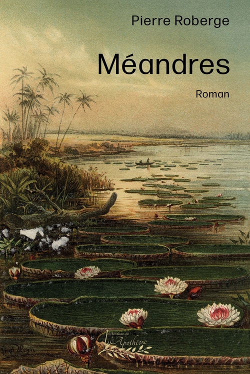 Couverture ebook de Méandres, de Pierre Roberge