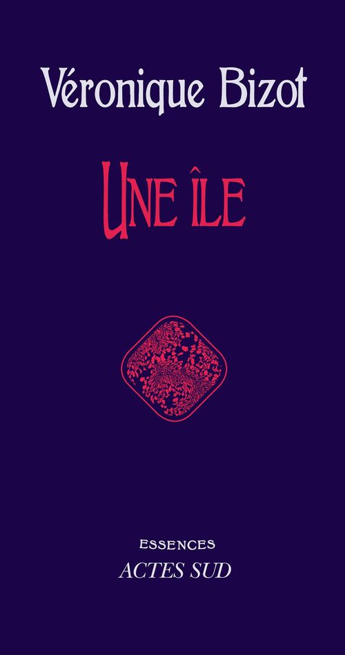 ebook cover of Une île, by Véronique Bizot
