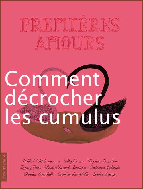 Couverture ebook de Comment décrocher les cumulus, de Claudia Larochelle, Julie Morstad