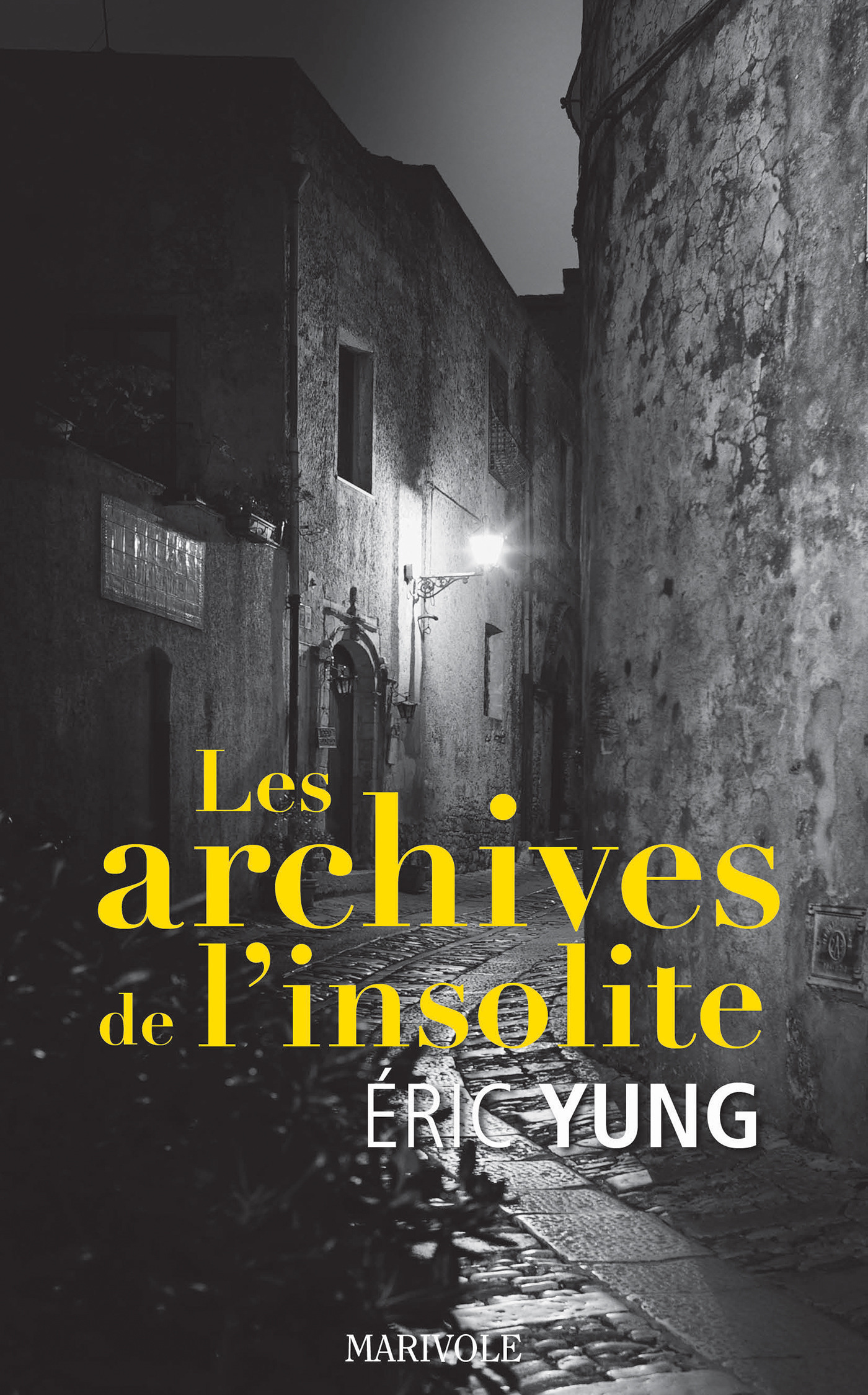 ebook cover of Les Archives de l'insolite, by Eric Yung