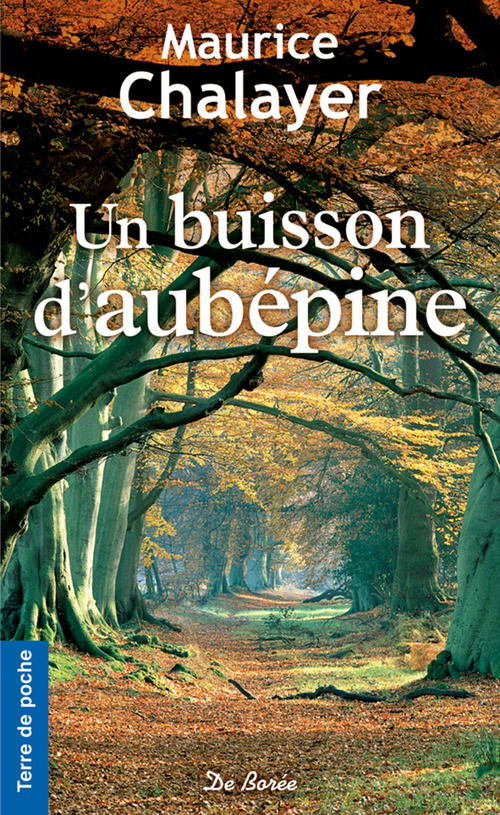 ebook cover of Un buisson d'aubépine, by Maurice Chalayer