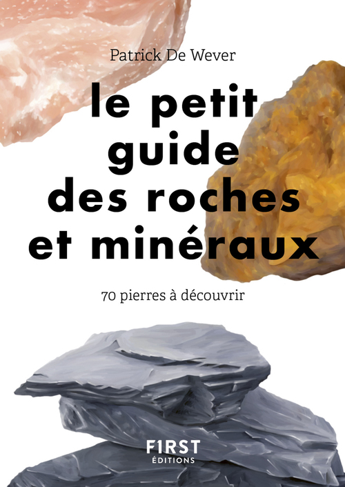 ebook cover of Le petit guide des roches et minéraux - 70 roches à découvrir, by Lise Herzog, Patrick De Wever