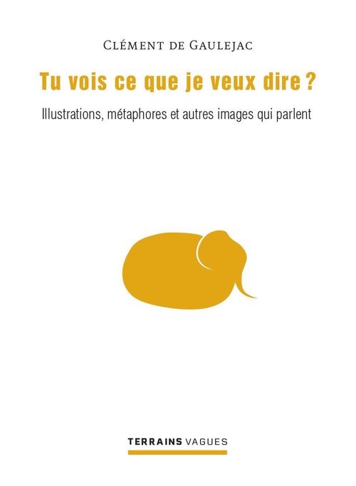 ebook cover of Tu vois ce que je veux dire ?, by De Gaulejac Clement