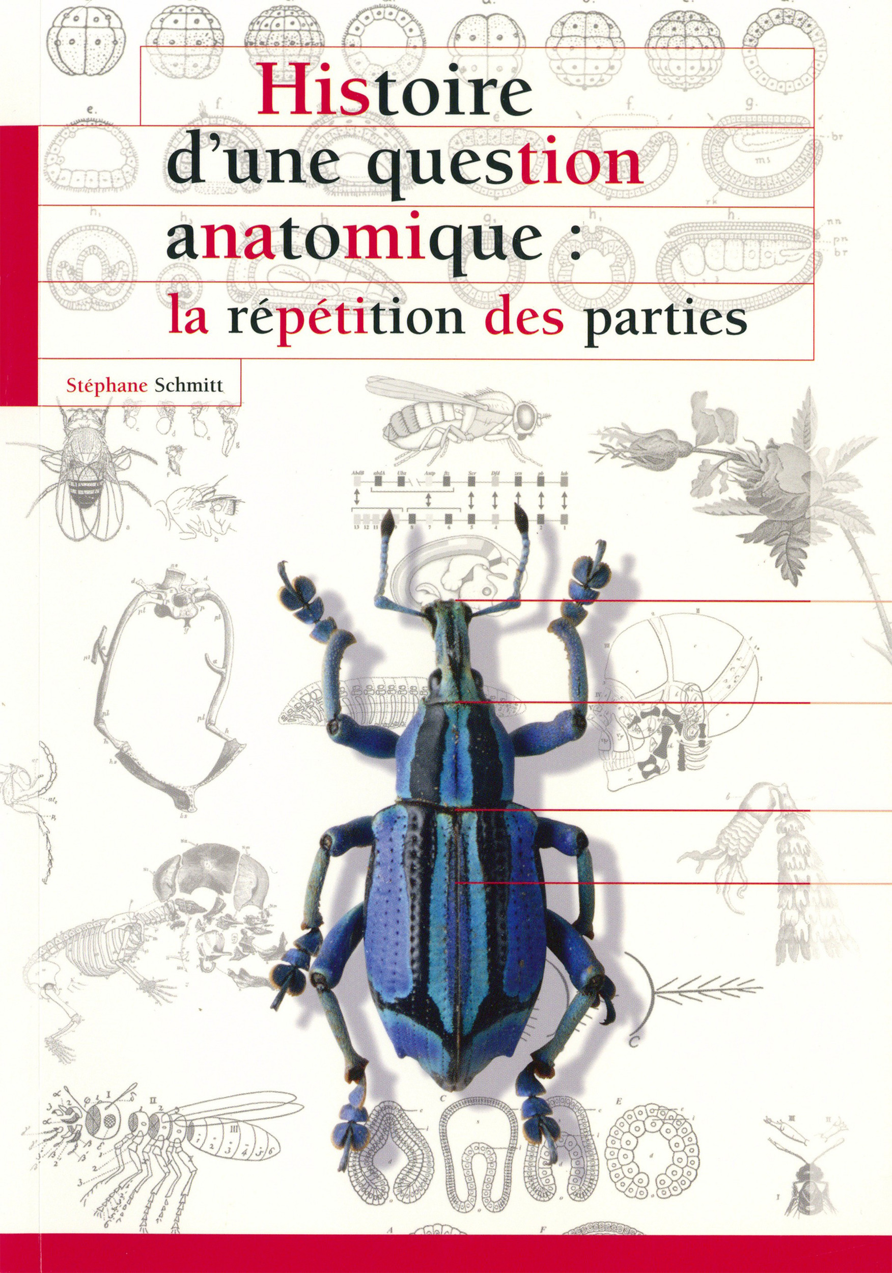 Couverture ebook de Histoire d´une question anatomique, de Stéphane Schmitt
