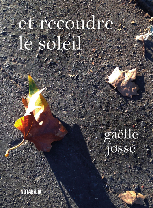 ebook cover of Et recoudre le soleil, by Gaëlle Josse