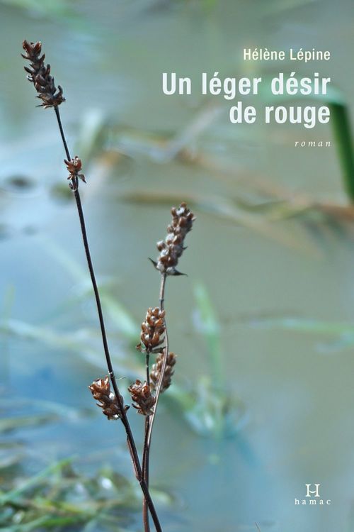 Couverture ebook de Un léger désir de rouge, de Lepine Helene