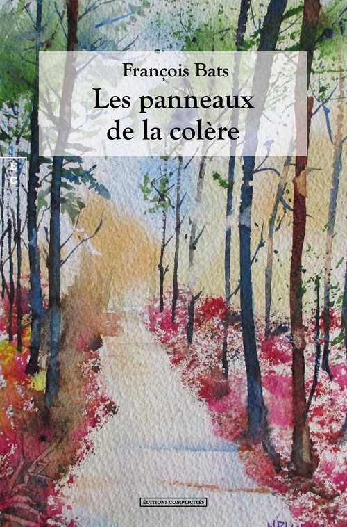 Couverture ebook de Les panneaux de la colère, de François Bats