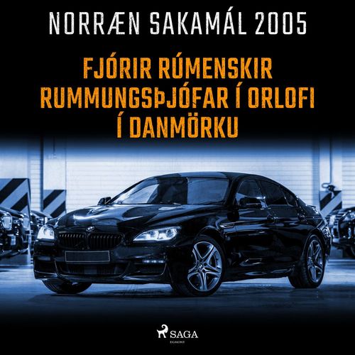 audiobook cover of Fjórir rúmenskir rummungsþjófar í orlofi í Danmörku, by -  Ymsir