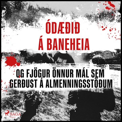 Couverture audiobook de Ódæðið á Baneheia og fjögur önnur mál sem gerðust á almenningsstöðum, de Ymsir