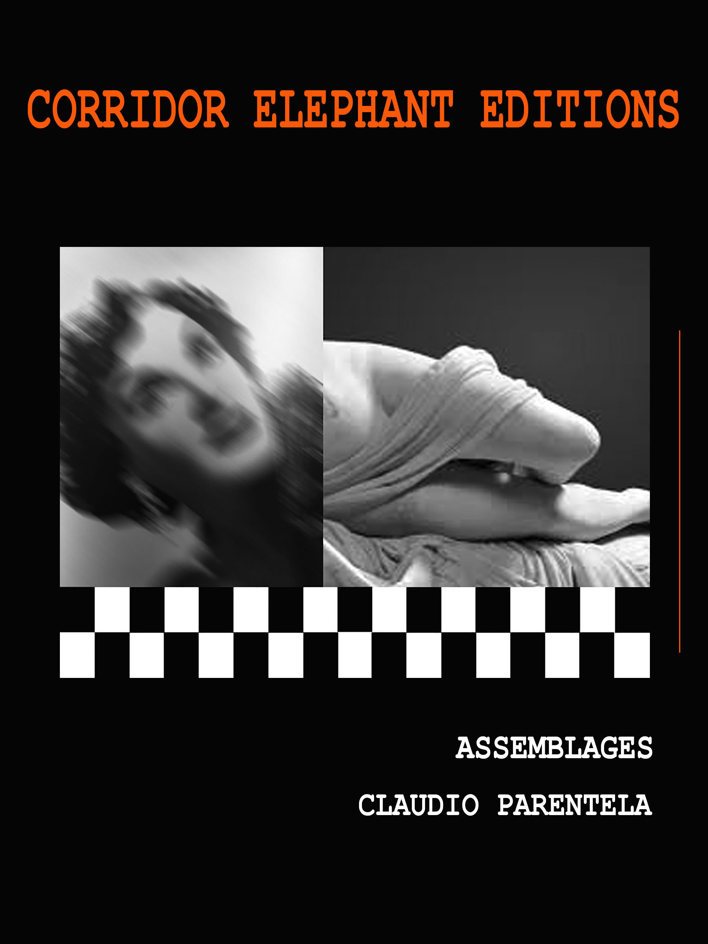 Couverture ebook de Assemblages, de Claudio Parentela