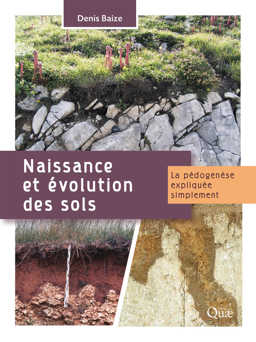 Couverture ebook de Naissance et évolution des sols, de Denis Baize