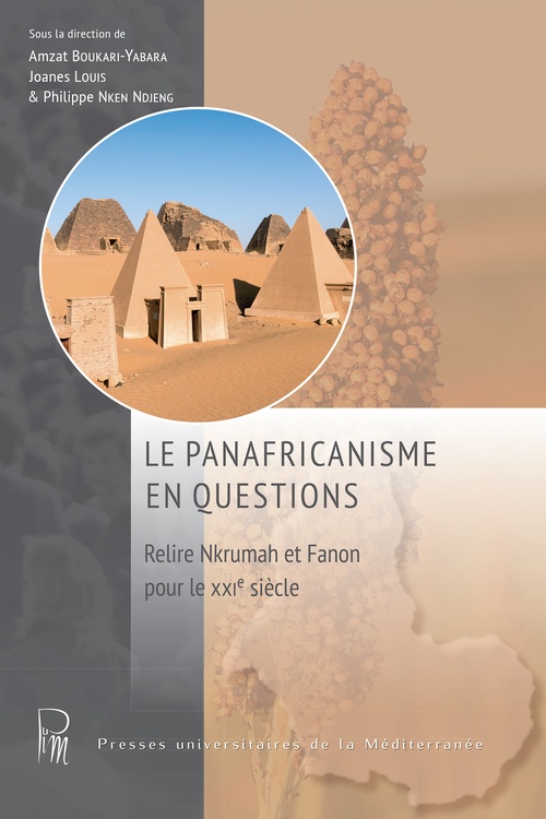 ebook cover of Le panafricanisme en questions, by