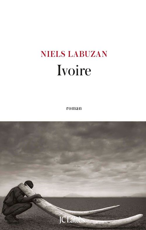 Couverture ebook de Ivoire, de Niels Labuzan