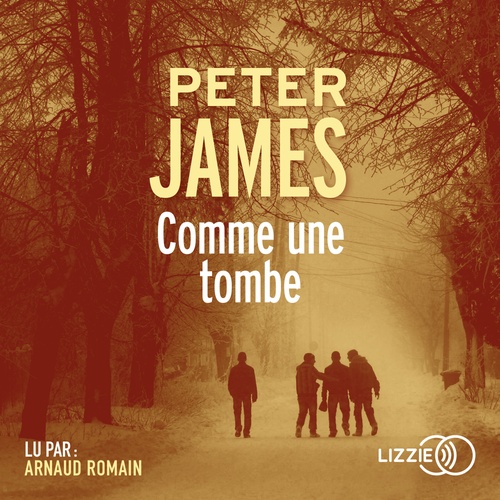 audiobook cover of Comme une tombe, by Peter James