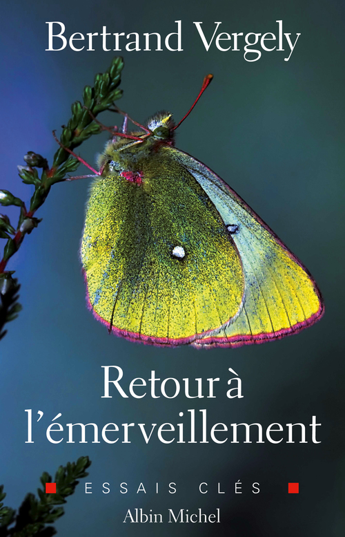 ebook cover of Retour à l'émerveillement, by Bertrand Vergely