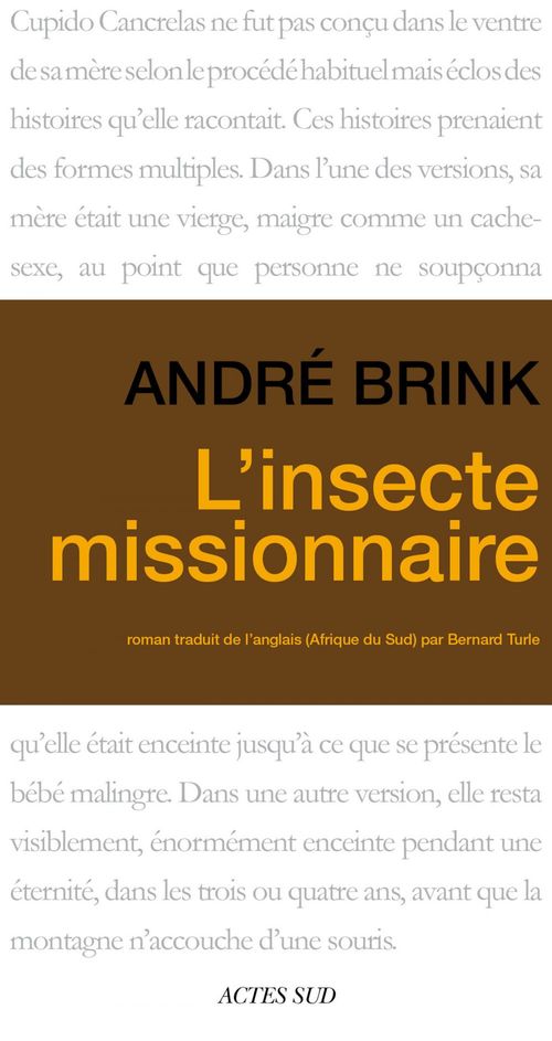 Couverture ebook de L'Insecte missionnaire, de André Brink
