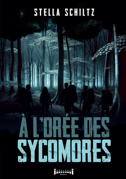 Couverture ebook de À l'orée des sycomores, de Stella Schiltz