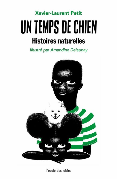 ebook cover of Un temps de chien, by Xavier-Laurent Petit, Amandine Delaunay