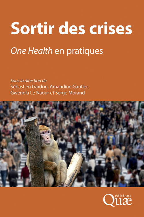 ebook cover of Sortir des crises, by Sébastien Gardon, Amandine Gautier, Gwenola Le naour, Serge Morand