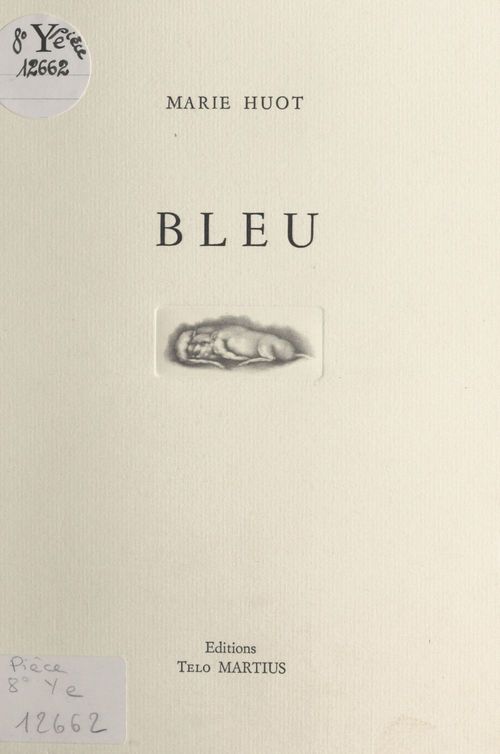 Couverture ebook de Bleu, de Marie Huot