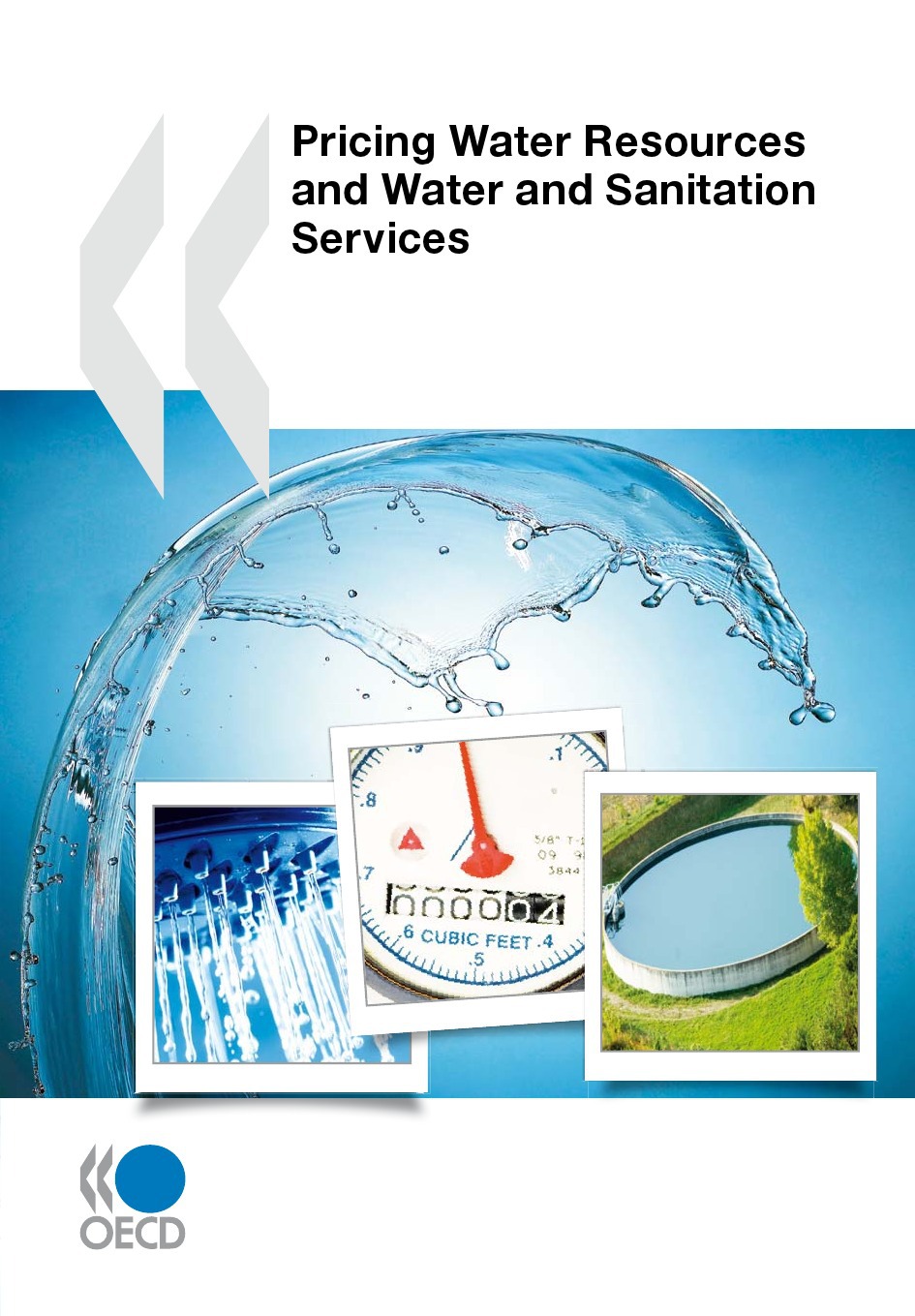 Couverture ebook de Pricing Water Resources and Water and Sanitation Services, de Collective