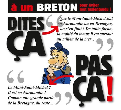 ebook cover of Dites ça. pas ça ! - À un Breton, by Philippe Bercovici, Patrice Perna