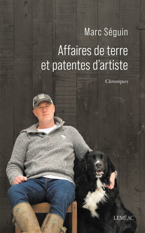 Couverture ebook de Affaires de terre et patentes d'artiste, de Marc Séguin