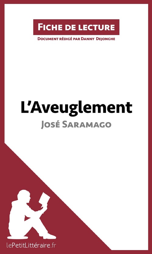 ebook cover of L'Aveuglement de José Saramago (Fiche de lecture), by Danny Dejonghe