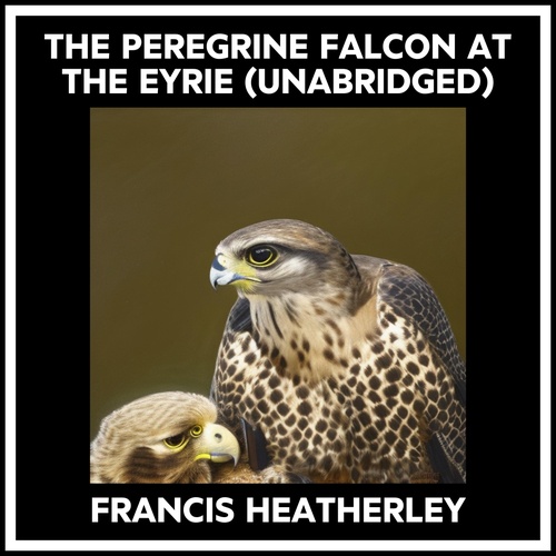 audiobook cover of The Peregrine Falcon At The Eyrie (Unabridged), by Francis Heatherley