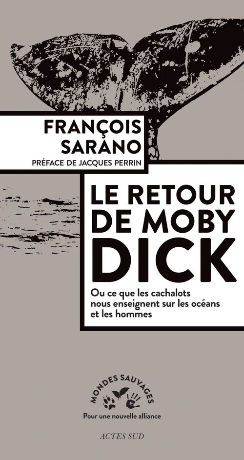 Couverture ebook de Le retour de Moby Dick, de François Sarano