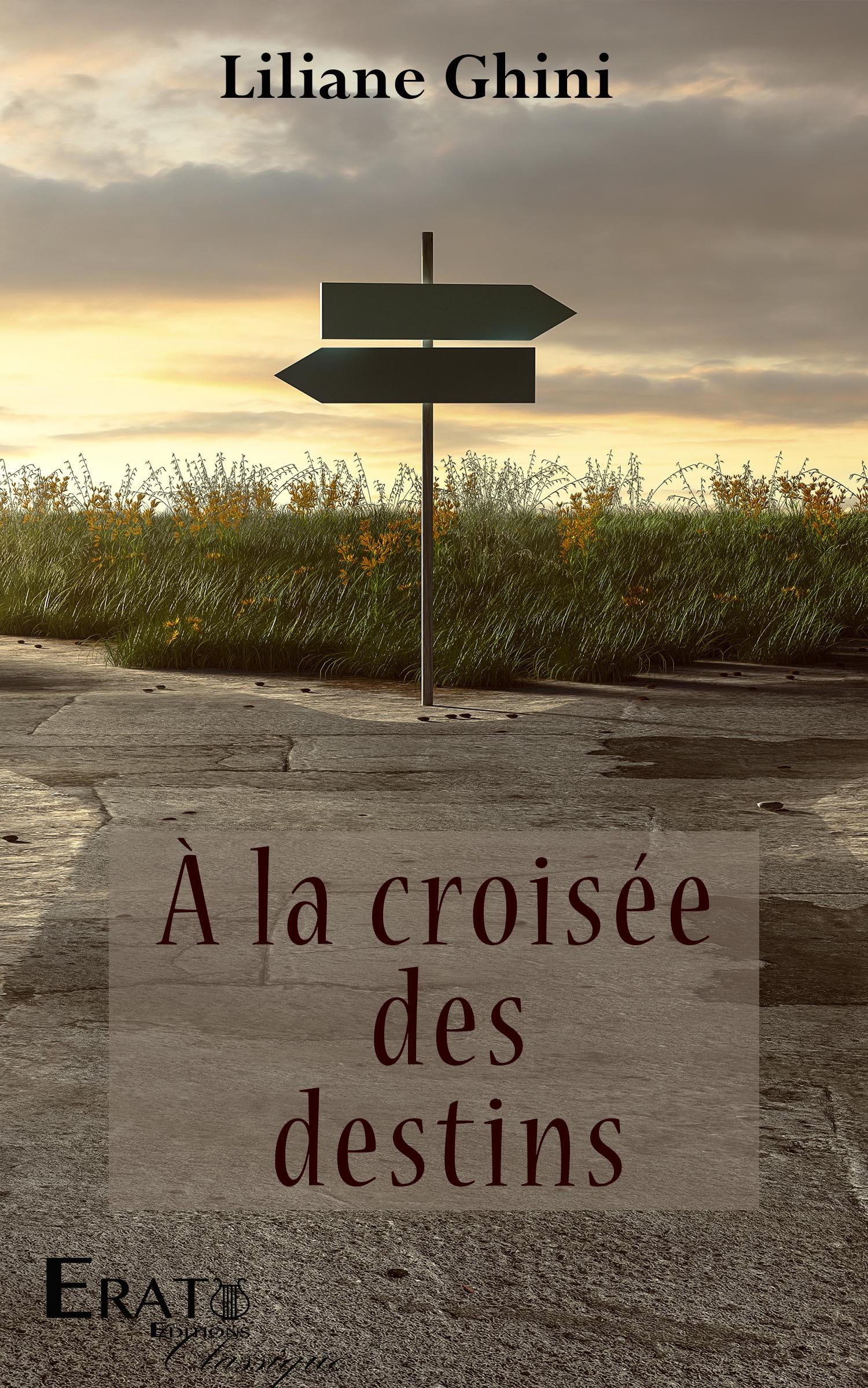 ebook cover of à la croisée des destins, by Liliane Ghini