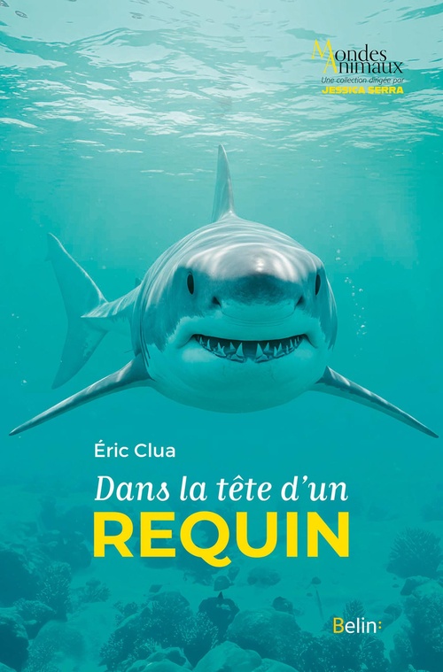 Couverture ebook de Dans la tête d'un requin, de Eric CLUA