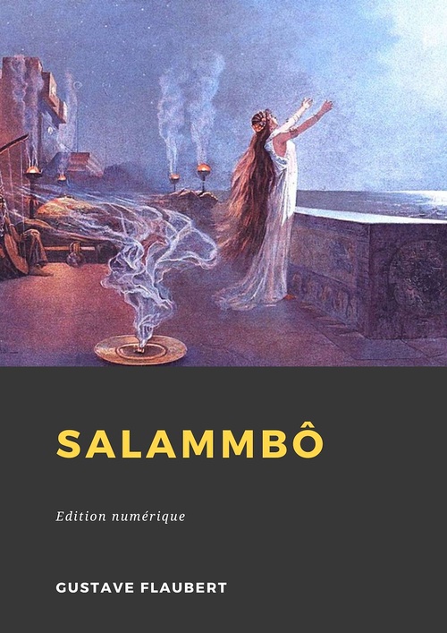 Couverture ebook de Salammbô, de Gustave Flaubert